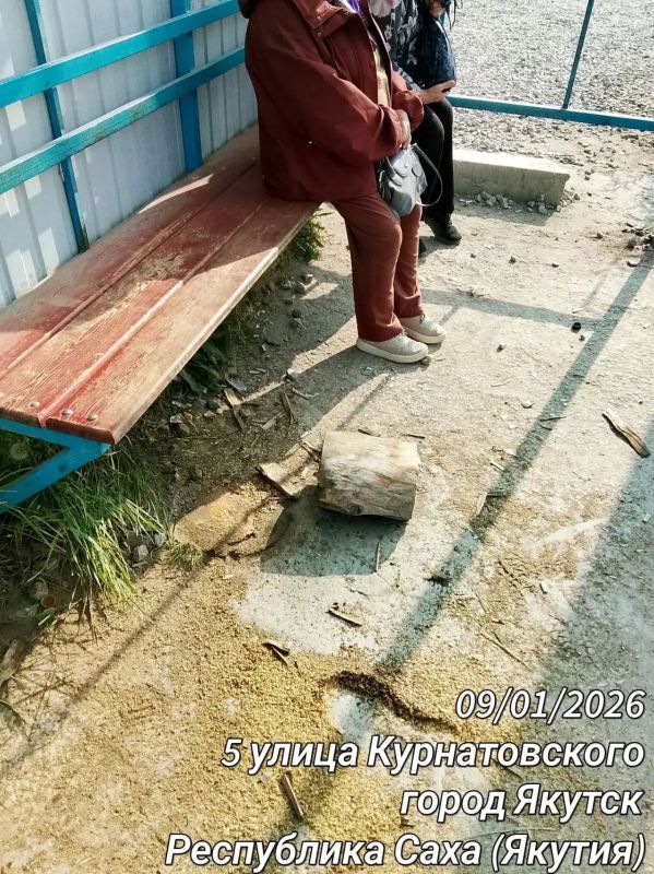 Сотрудники Управы Гагаринского округа активно включились в объявленую главой города Якутска Дмитрием Садовниковым Акцию «Город без пней» Сотрудники Управы Гагаринского округа активно включились в объявленую главой города Якутска Дмитрием Садовниковым Акцию «Город без пней»