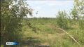 Сентябрь в Якутии ожидается пожароопасным
