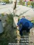 Сотрудники Управы Гагаринского округа активно включились в объявленую главой города Якутска Дмитрием Садовниковым Акцию «Город без пней»