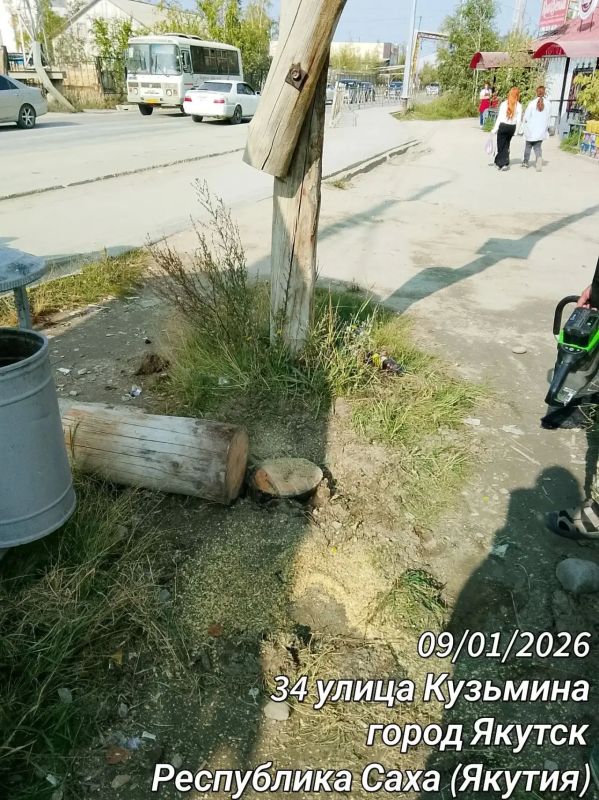 Сотрудники Управы Гагаринского округа активно включились в объявленую главой города Якутска Дмитрием Садовниковым Акцию «Город без пней» Сотрудники Управы Гагаринского округа активно включились в объявленую главой города Якутска Дмитрием Садовниковым Акцию «Город без пней»