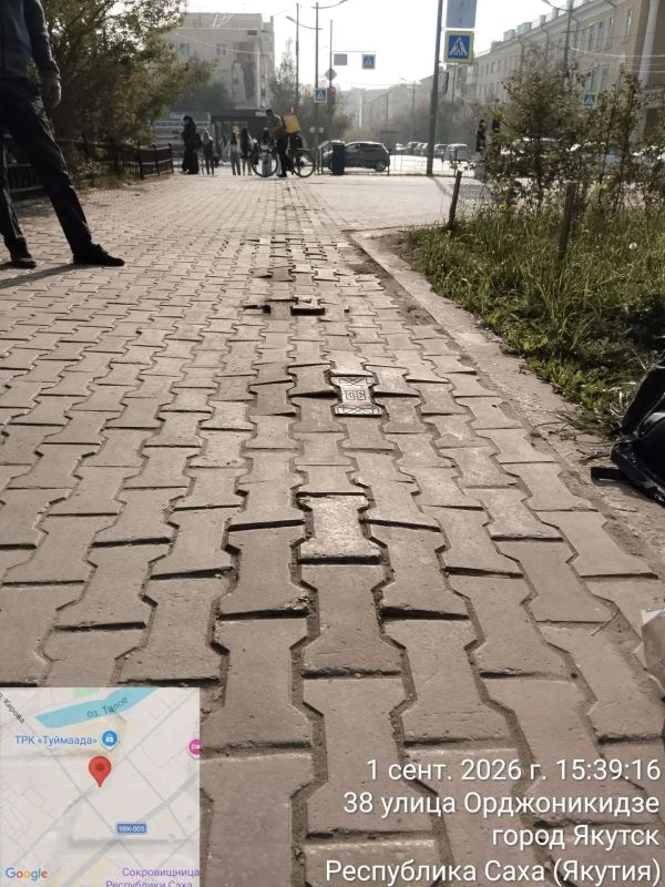 В Центральном округе продолжается выкорчёвка пней В Центральном округе продолжается выкорчёвка пней