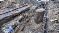 В Якутске объявили необычную охоту