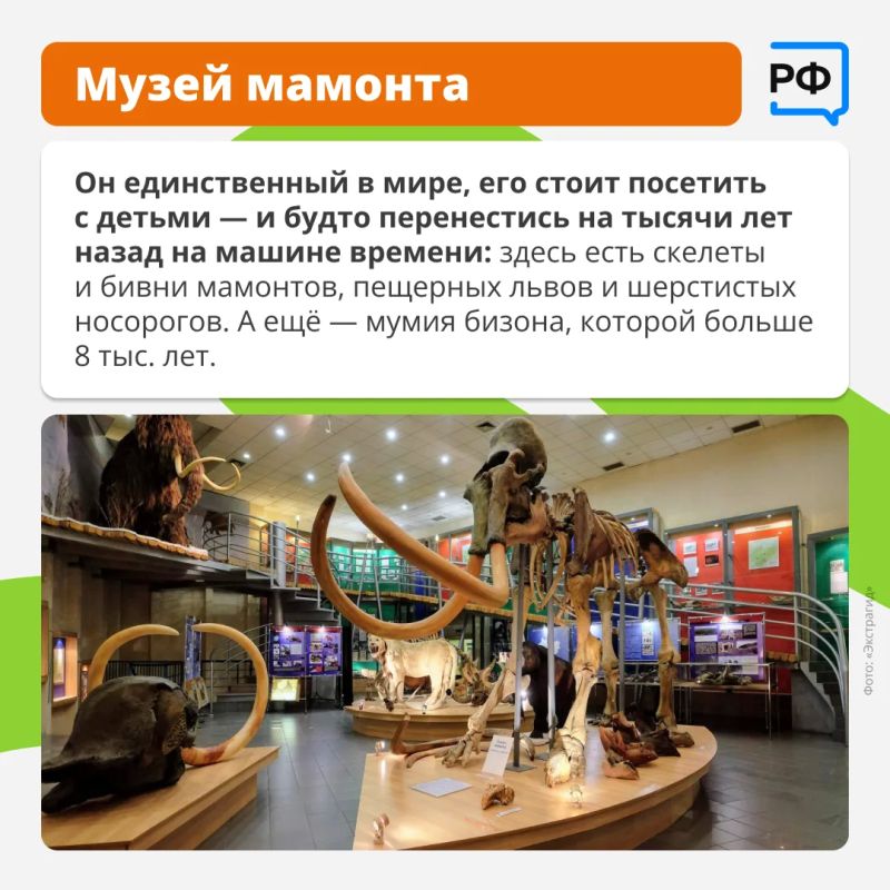 Увидеть один из крупнейших в мире алмазов, мумию бизона возрастом 8 тыс Увидеть один из крупнейших в мире алмазов, мумию бизона возрастом 8 тыс