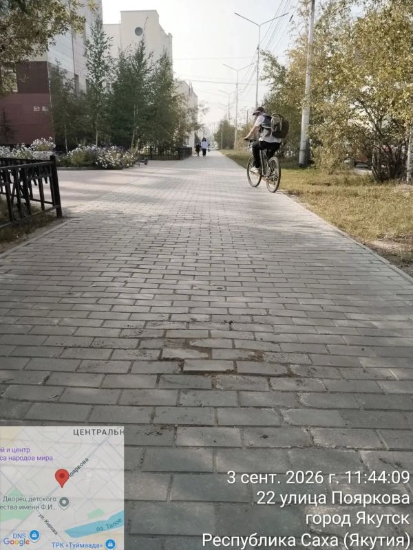 В Центральном округе продолжается акция «Город без пней» В Центральном округе продолжается акция «Город без пней»