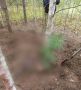 Тела двух женщин со следами нападения медведя нашли в Красноярском крае