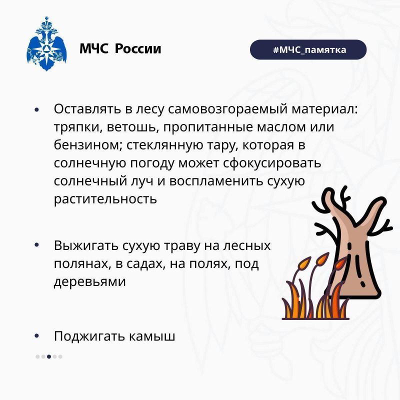 В лесах пяти районов Якутии сохраняется высокая пожарная опасность В лесах пяти районов Якутии сохраняется высокая пожарная опасность