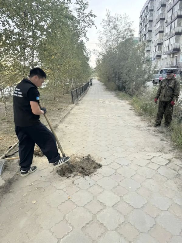 В Губинском округе — очередной шаг к «Городу без пней»! В Губинском округе — очередной шаг к «Городу без пней»!