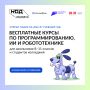 Якутяне могут записаться на бесплатные ИТ-курсы проекта «Код будущего»