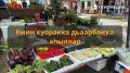 Киин куоракка сарсыыттан “рбл кн дьаарбаката” лэлиэ