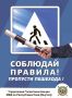 Каждый наезд на пешехода можно предотвратить