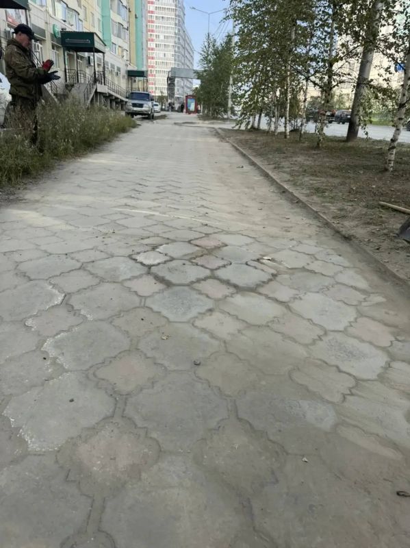 В Губинском округе — очередной шаг к «Городу без пней»! В Губинском округе — очередной шаг к «Городу без пней»!