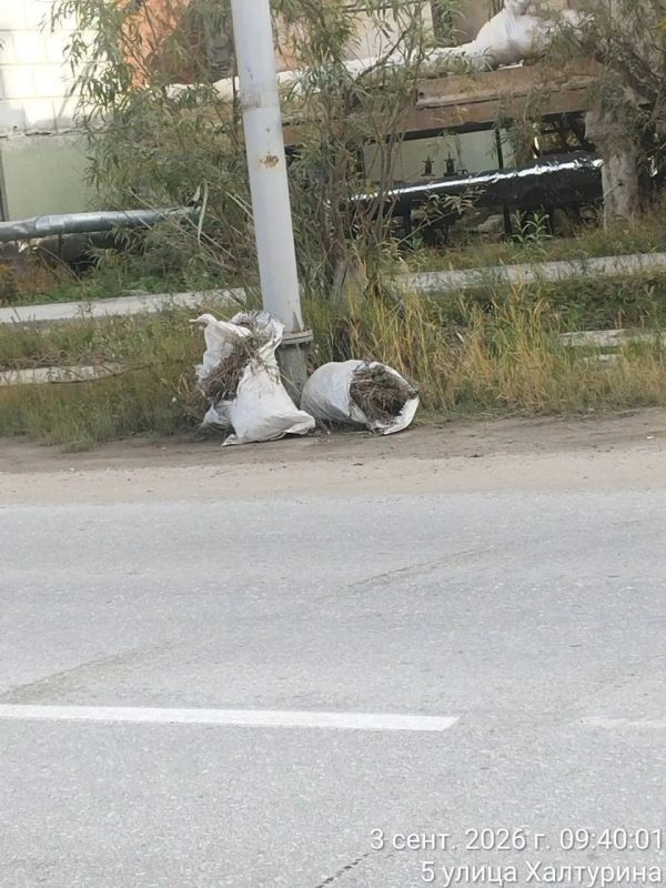 За отчётную неделю муниципальные дворники Строительного округа провели комплекс работ по благоустройству и санитарному содержанию территории округа За отчётную неделю муниципальные дворники Строительного округа провели комплекс работ по благоустройству и санитарному содержанию территории округа