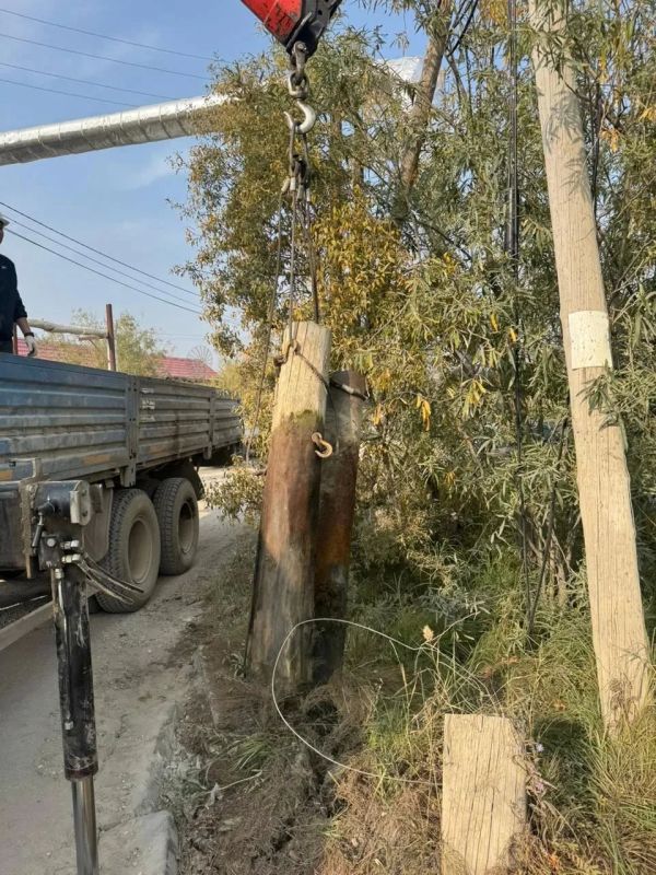 В Сайсарском округе акция «Город без пней» вышла на пиковые мощности В Сайсарском округе акция «Город без пней» вышла на пиковые мощности