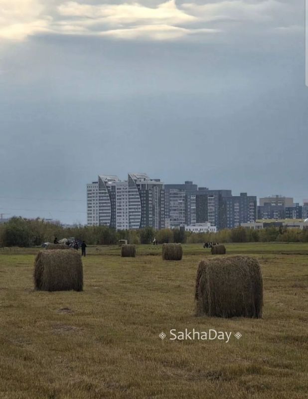 Стога сена на Зеленом лугу #отподписчика Стога сена на Зеленом лугу #отподписчика