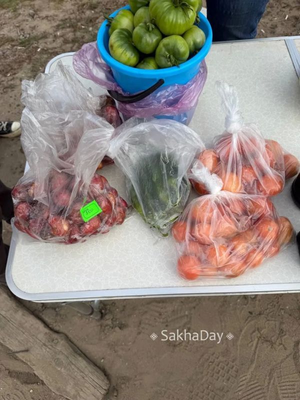 Частники продают излишки у Владимировки #дляsakhaday Частники продают излишки у Владимировки #дляsakhaday