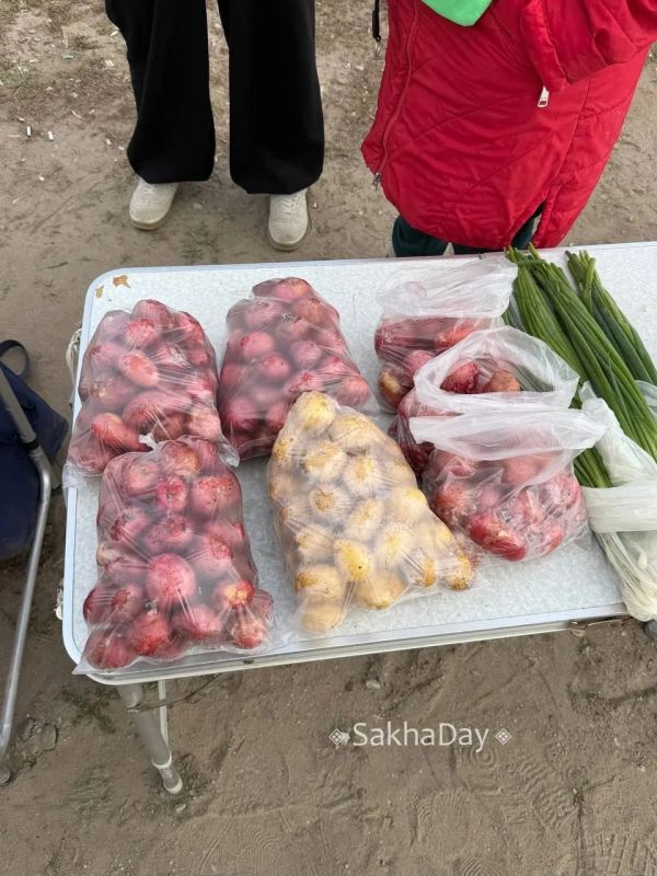 Частники продают излишки у Владимировки #дляsakhaday Частники продают излишки у Владимировки #дляsakhaday