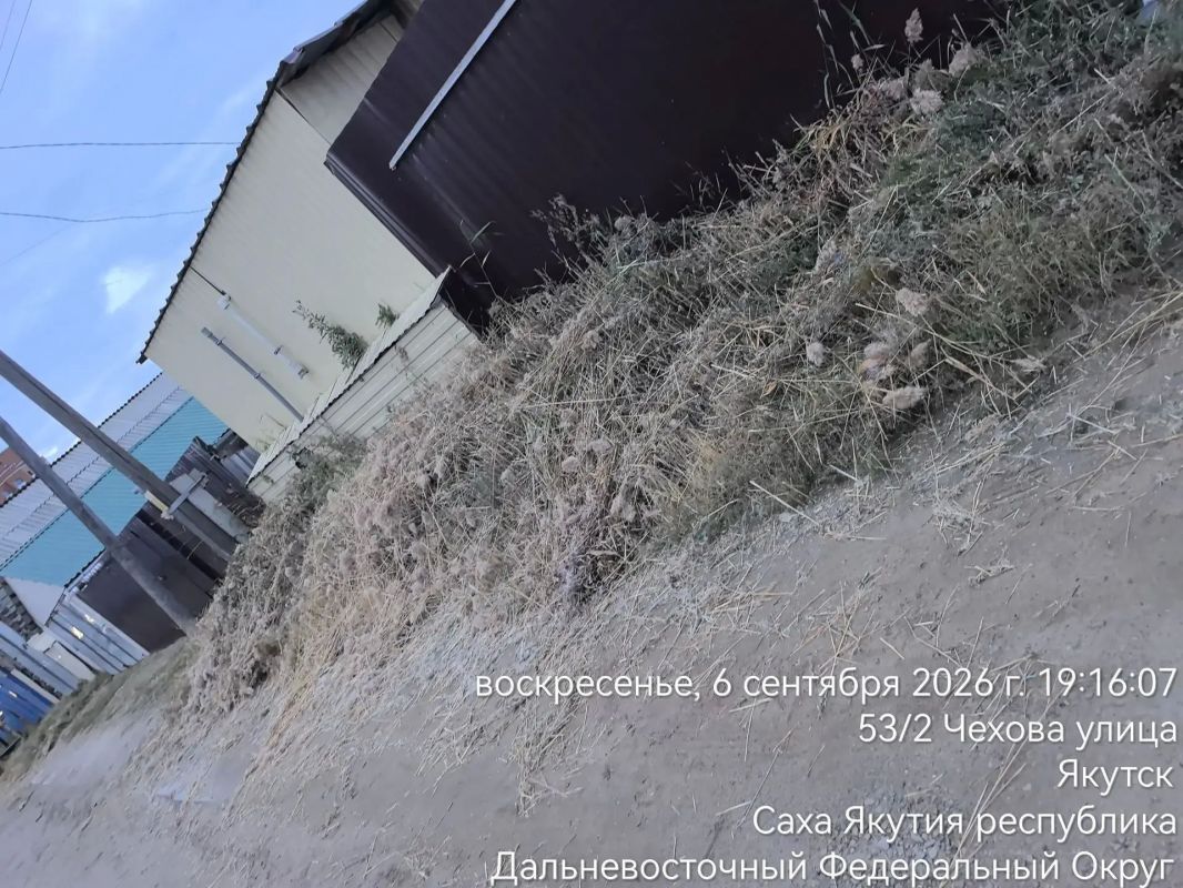 В Сайсарском округе продолжается покос травы и сухой растительности В Сайсарском округе продолжается покос травы и сухой растительности