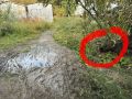 #пишут Пока все отчитываются о полной готовности к отопительно-зимнему периоду, вот такая картина на Петра Алексеева 21/3