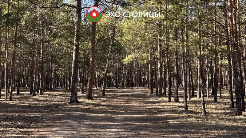 В Якутске появится беговой маршрут