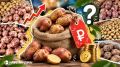 Олохтоох хортуоппуй нтэ хайдаый уонна сыаната тнй?
