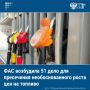Федеральная антимонопольная служба возбудила 51 дело для исключения случаев необоснованного повышения цен на топливо