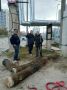 МОБУ СОШ №25 присоединился к городской акции «Город без пней»