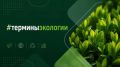 Вас приветствует рубрика #терминыэкологии