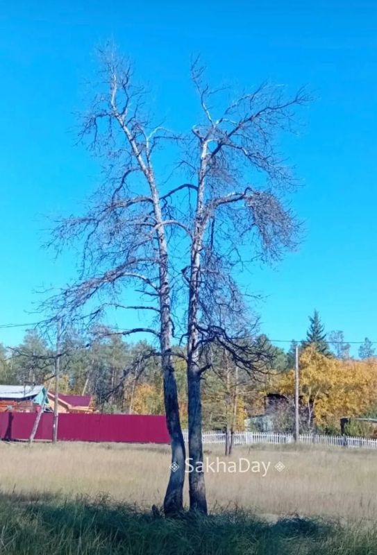 На улице Кустук за Мерзлоткой На улице Кустук за Мерзлоткой