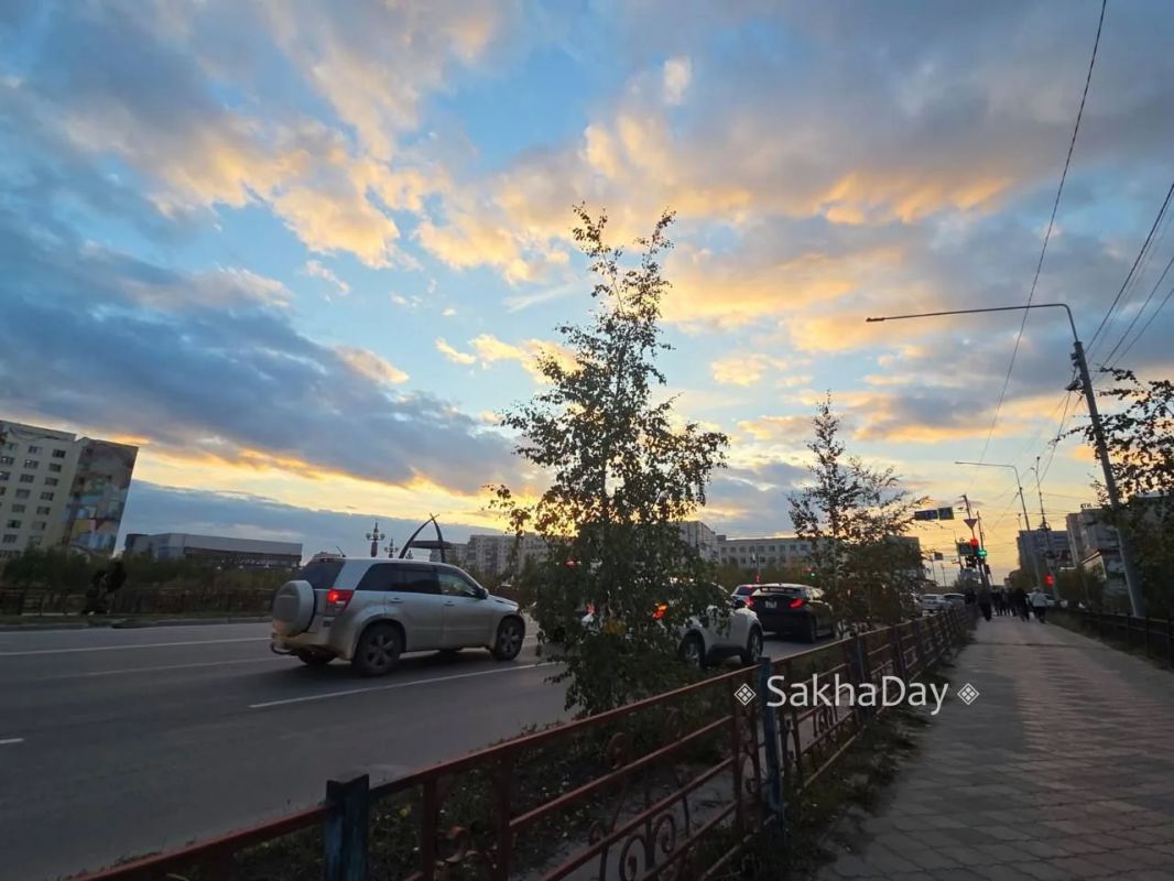 #пишут Деревья в Якутске. Уже осень