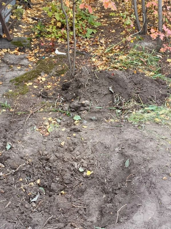 Анатолий Кырдьаас поддержал акцию мэра, правда в своем дворе: Анатолий Кырдьаас поддержал акцию мэра, правда в своем дворе: