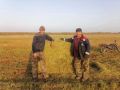 В Табалахе начали выращивать овёс на корм лошадям