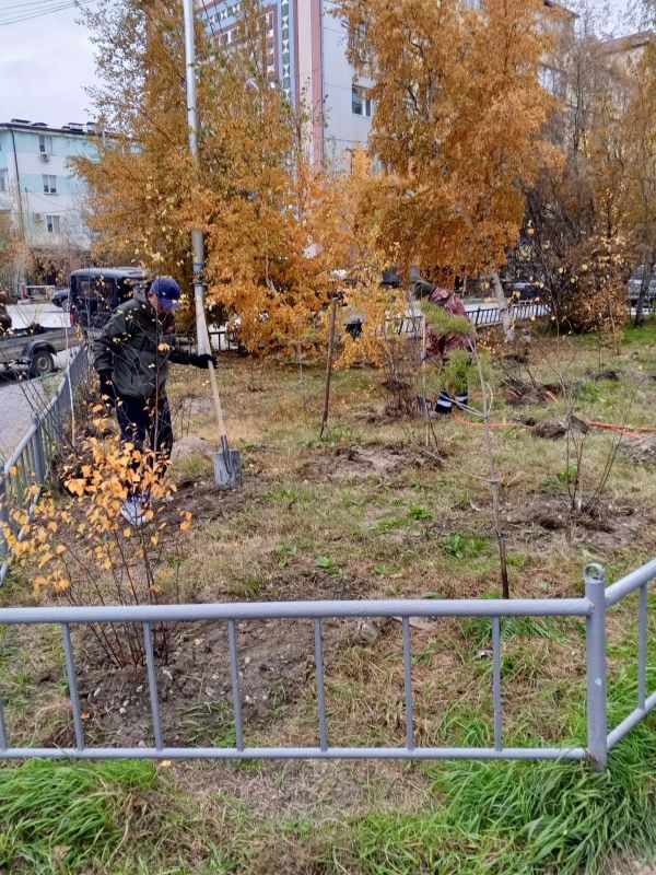 В Центральном округе высадили 156 саженцев деревьев В Центральном округе высадили 156 саженцев деревьев