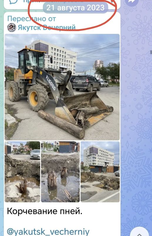 «Казус белли», или история появления пеньков в центре Якутска «Казус белли», или история появления пеньков в центре Якутска