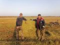 В Табалахе впервые посеяли овёс на корм лошадям