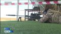 Якутян приглашают принять участие в турнире по боевому снайпингу памяти Фёдора Охлопкова