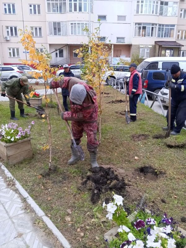 В Центральном округе высадили 156 саженцев деревьев В Центральном округе высадили 156 саженцев деревьев