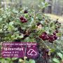 Погода в Якутии на 16 сентября: мокрый снег в центре и юге, заморозки в Якутске