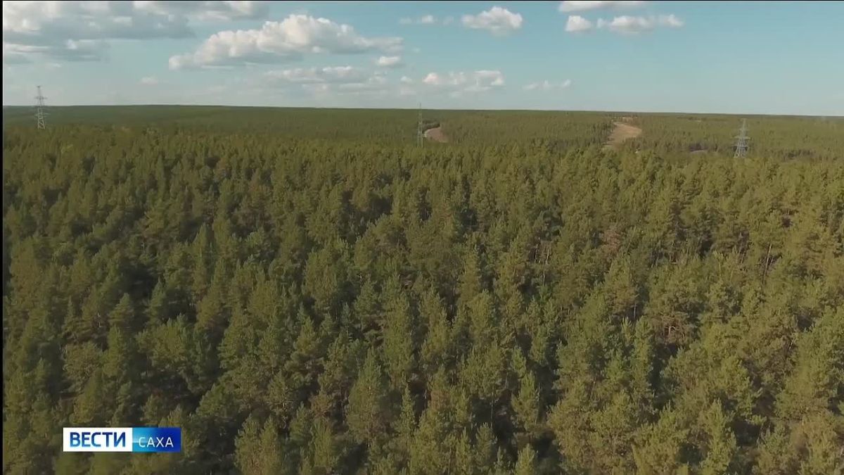В Якутии указом главы республики Айсена Николаева отменён режим ЧС в лесах регионального характера