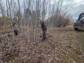 В Чаппанде высадили деревья в рамках акции «Сохраним лес» и подготовки к IX Играм народов Якутии
