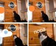 #���������� ��������� �����
