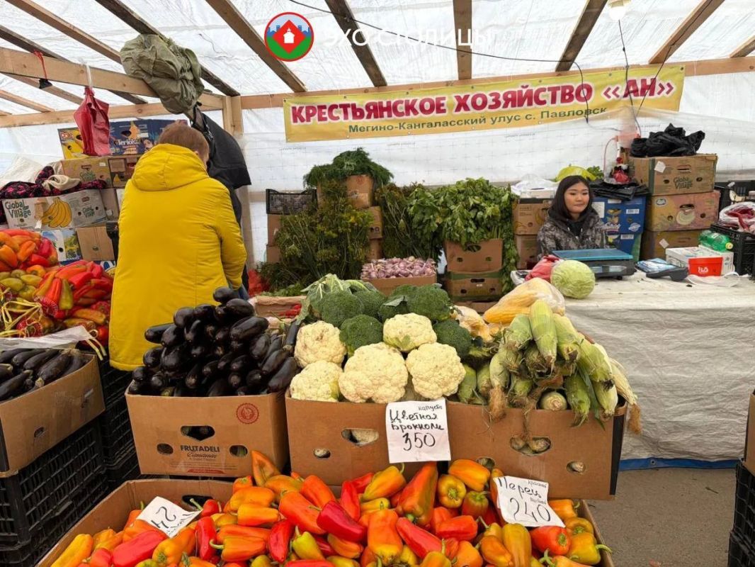 Обзор цен на ярмарке местной продукции на Комсомольской площади Обзор цен на ярмарке местной продукции на Комсомольской площади