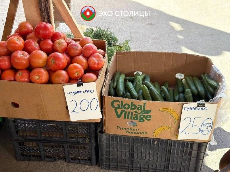 Обзор цен на ярмарке местной продукции на Комсомольской площади Обзор цен на ярмарке местной продукции на Комсомольской площади