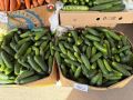 Обзор цен на ярмарке местной продукции на Комсомольской площади