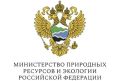В Минприроды России обсудили вопросы регулирования численности бурого медведя в регионах Сибири и Дальнего Востока