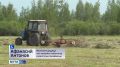 Саха сирин рднэн от былаана 90% кэриэ туолан турар