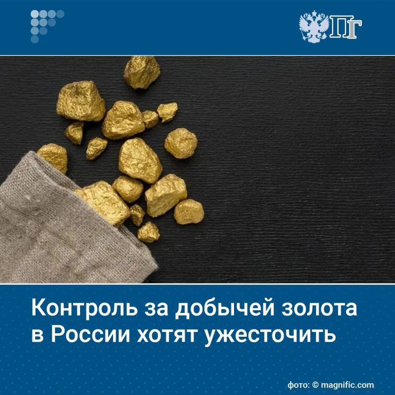 Правительство внесло в Госдуму законопроект, направленный на борьбу с незаконной добычей драгоценных металлов под видом геологоразведки