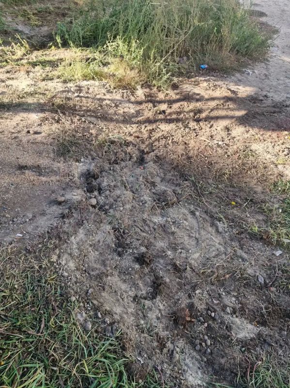Акция «Город без пней» продолжается в Гагаринском округе! Акция «Город без пней» продолжается в Гагаринском округе!