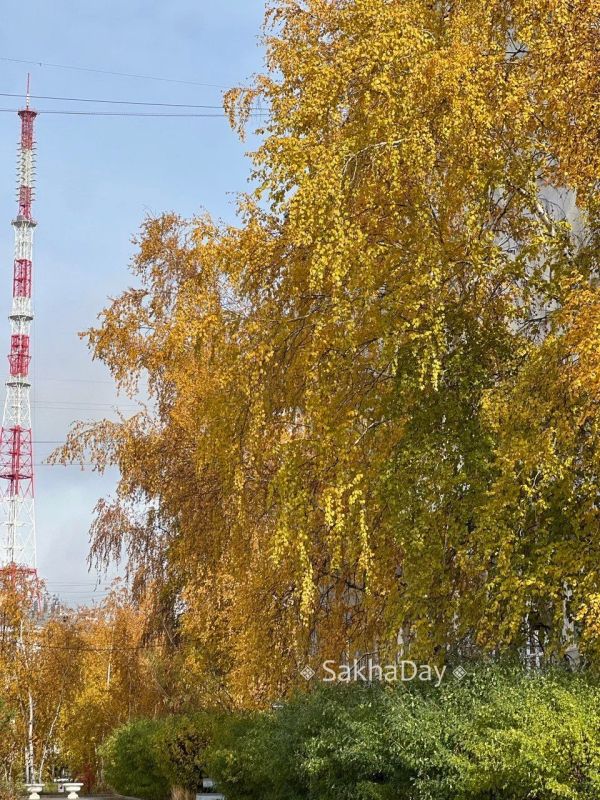 #пишут Осенние пейзажи в городе #отподписчицы #пишут Осенние пейзажи в городе #отподписчицы