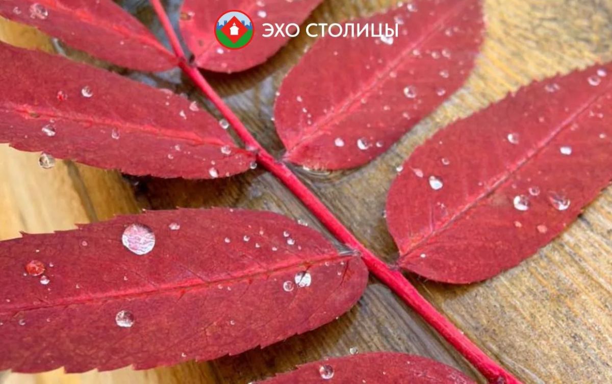 Прогноз погоды в Якутске на понедельник