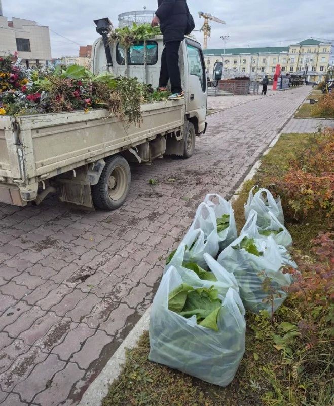 30 кг табака собрал якутянин на площади Орджоникидзе